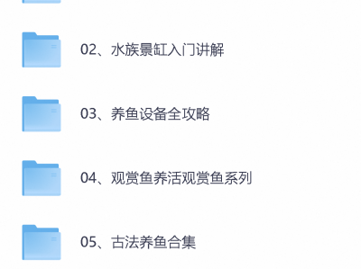 新手养观赏鱼/鱼缸养鱼/古法养鱼合集含视频教程入门讲解