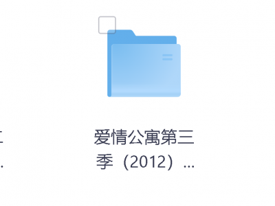 199收集的爱情公寓系列1-5季全集附电影版+番外 收藏版